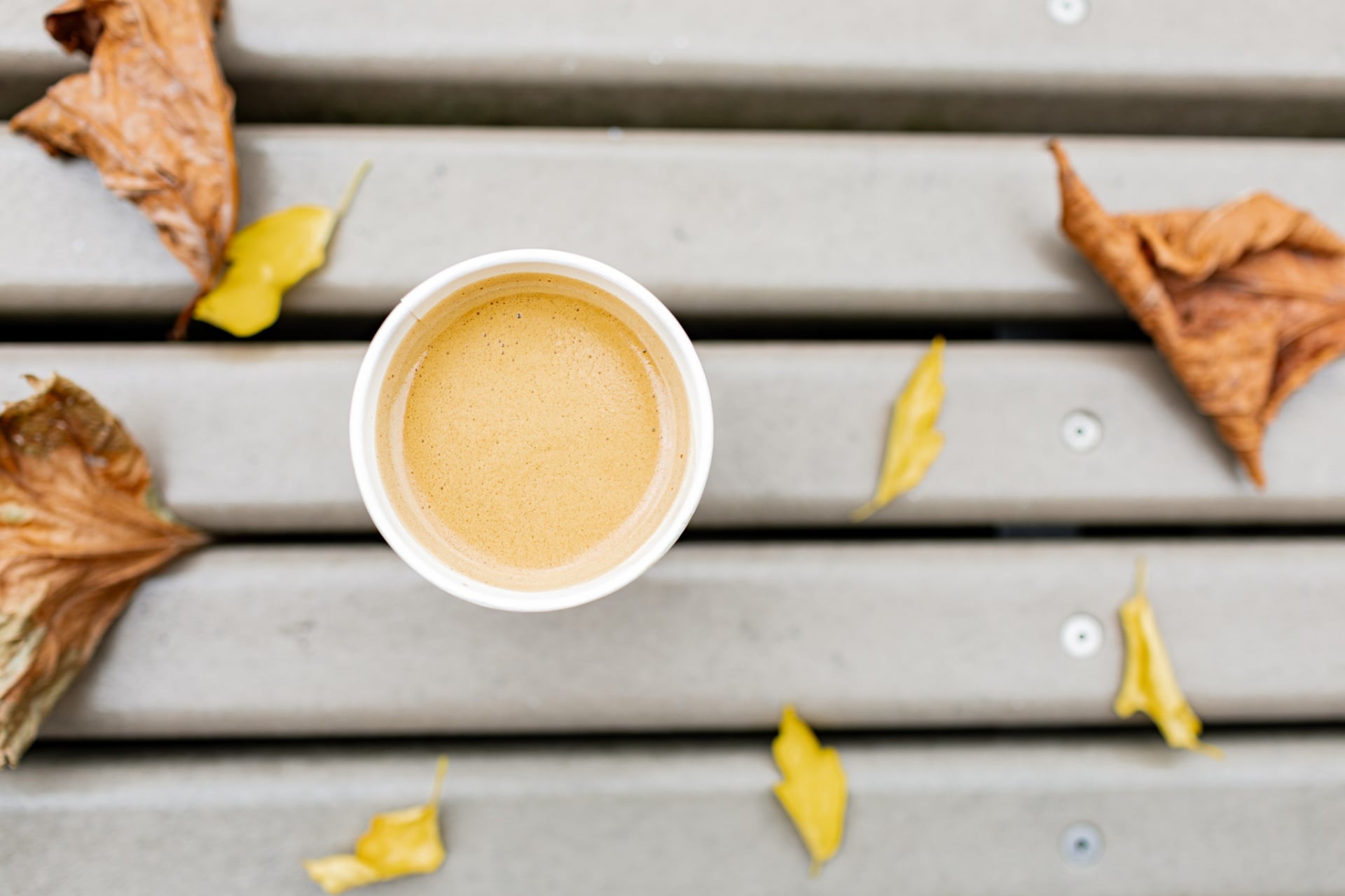 Kop koffie met herfstbladeren en warm middaglicht